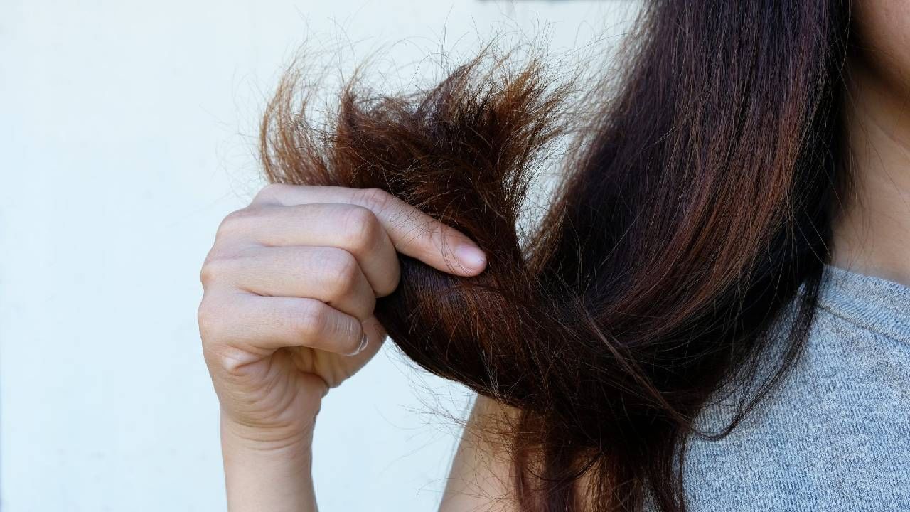 Health : त्वचा आणि केसांसाठी खूप फायदेशीर आहे ग्रेप सीड ऑईल, असा करा वापर