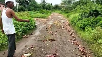 Onion Crop : दराच्या प्रतिक्षेत साठवला पण निसर्गाला नाही बघवला..! चार महिन्यानंतर कांद्याचा असा हा वांदा