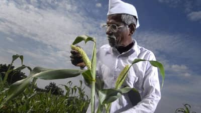 PM Kisan : शेतकऱ्यांसाठी खुशखबर, आता पीएम किसानचे पैसे येण्यासही मांजर आडवी येणार नाही…