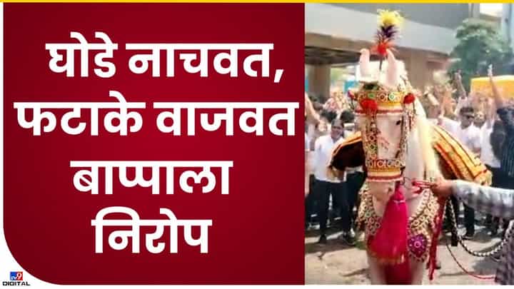 Nagpur Ganapati Visarjan : नागपुरातील गणेश विसर्जन मिरवणुकीत नाचविले जातात घोडे Nagpur Ganapati Visarjan : नागपुरातील गणेश विसर्जन मिरवणुकीत नाचविले जातात घोडे