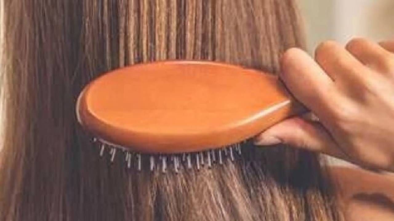 Hair Fall: केसगळती थांबत नसेल तर ' या ' 3 नैसर्गिक गोष्टींचा करा वापर - Try  these home remedies to get rid of hair fall problem, use these natural  ingredients | TV9 Marathi