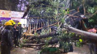 Thane Tree Collapse : विसर्जनाच्या दिवशी विघ्न! गणेशोत्सव मंडळाच्या मंडपासह वाहनांवर झाड कोसळलं, 5 जण जखमी