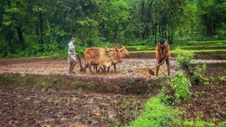 Farmer : केंद्राची पीएम किसान तर राज्य सरकारची योजना काय? वर्षाकाठी 6 हजार नव्हे तर 12 हजार रुपये..!