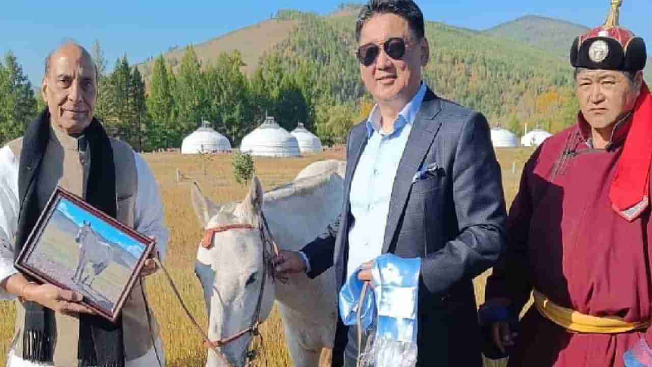 मंगोलियात संरक्षण मंत्र्यांना मिळाली  चपळ भेटवस्तू, पण भारतात आणणार नाहीत, का?