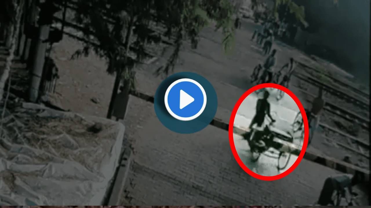 Video : मृत्यूला स्पर्श करुनच तो रिक्षावाला जिवंत परतला! थरारक सीसीटीव्ही, भरधाव ट्रेन धडधडत आली आणि...