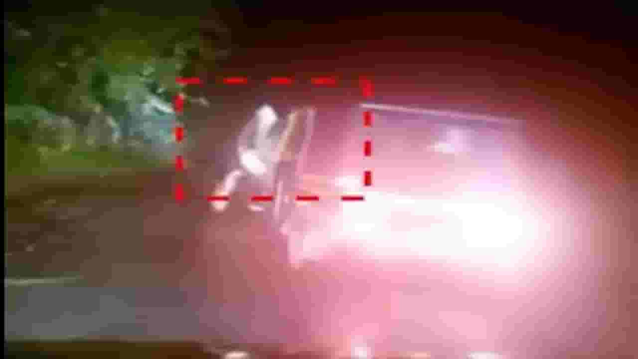 रान गव्याची रिक्षाला धडक, घटनेचा थरारक व्हिडीओ व्हायरल