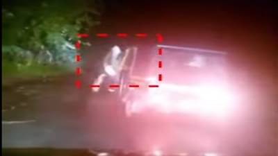 रान गव्याची रिक्षाला धडक, घटनेचा थरारक व्हिडीओ व्हायरल