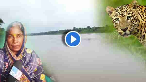 Jalgaon : इकडे बिबट्या तिकडे तुफ्फान पूर, लताबाईंनी झेप घेतली, पुढचे 16 तास.... जळगावचा थरार अंगावर शहारे आणणारा