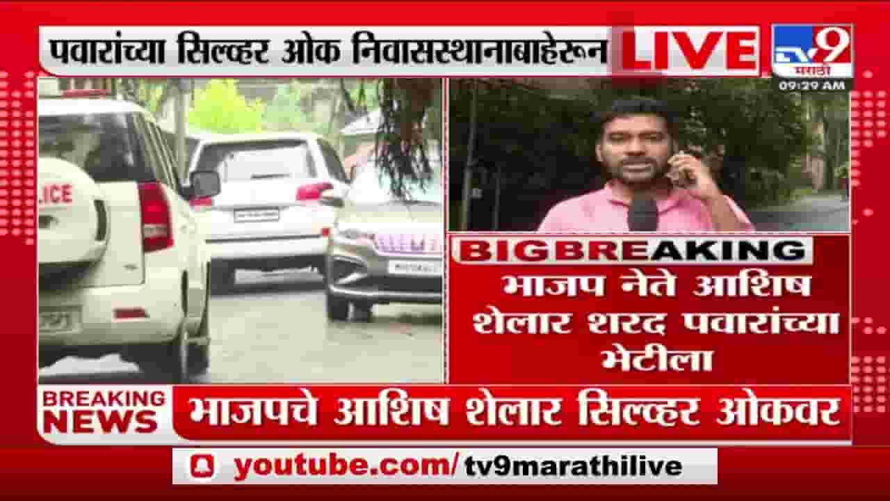 शरद पवारांच्या भेटीसाठी आशिष शेलार सिल्वर ओकवर