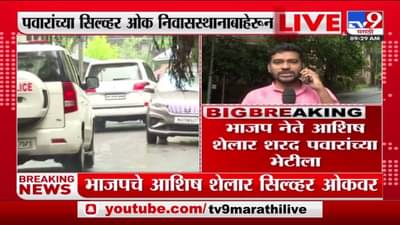 शरद पवारांच्या भेटीसाठी आशिष शेलार सिल्वर ओकवर