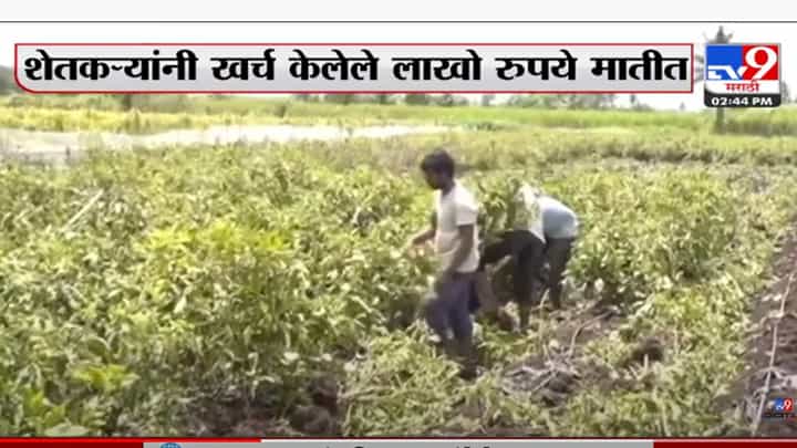 कोल्हापूरला परतीच्या पावसानं झोडपलं कोल्हापूरला परतीच्या पावसानं झोडपलं