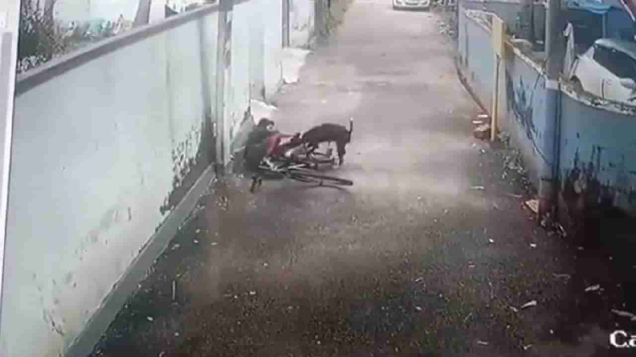 Viral Video: घराबाहेर सायकल चालवणाऱ्या मुलावर रस्त्यावरील कुत्र्याचा भयानक हल्ला, 14 सेकंद चावत राहिला..