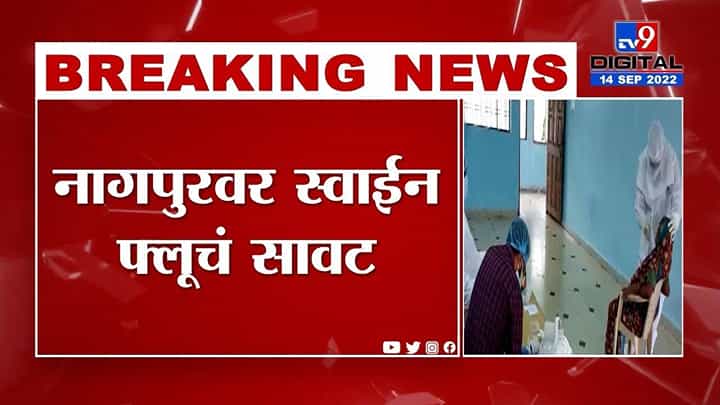 नागपूर जिल्ह्यात डेंग्युचे रुग्ण वाढले; प्रशासनाकडून काळजी घेण्याच्या दिल्या सूचना नागपूर जिल्ह्यात डेंग्युचे रुग्ण वाढले; प्रशासनाकडून काळजी घेण्याच्या दिल्या सूचना
