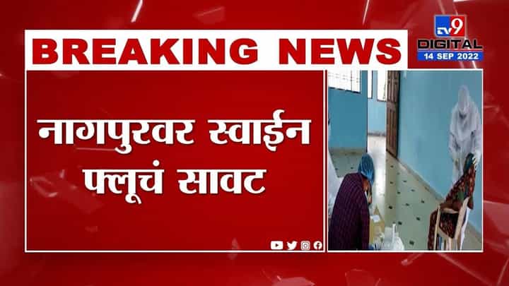 नागपूर जिल्ह्यात डेंग्युचे रुग्ण वाढले; प्रशासनाकडून काळजी घेण्याच्या दिल्या सूचना नागपूर जिल्ह्यात डेंग्युचे रुग्ण वाढले; प्रशासनाकडून काळजी घेण्याच्या दिल्या सूचना