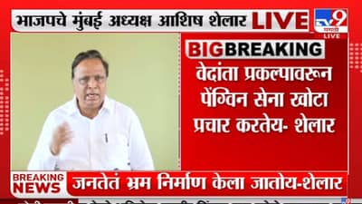 वेदांता प्रकल्प महाराष्ट्रात होताच कधी? पेंग्विन सेनाप्रमुखांनी उत्तर द्यावं आशिष शेलार आक्रमक