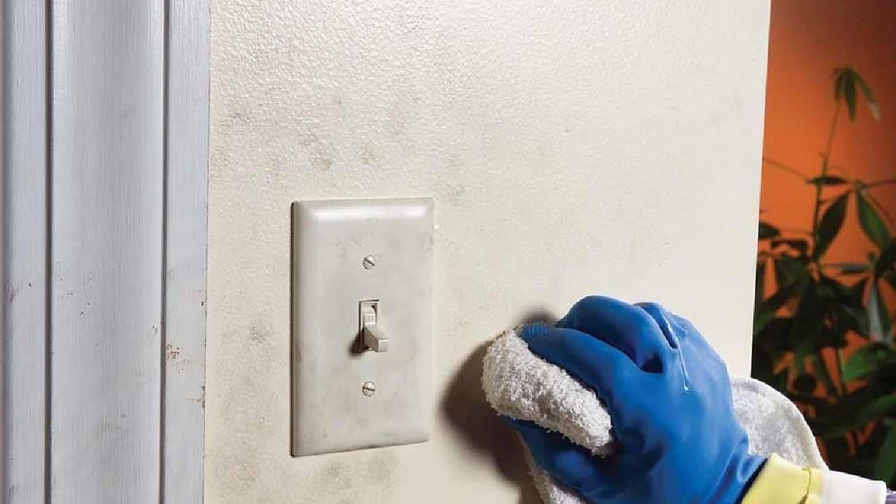 Black Walls Clean | उदबत्तीच्या धुरामुळे काळवंडल्या आहेत घराच्या भिंती ?वापरा या टिप्स