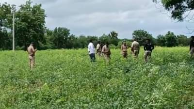 अमरावतीतील इथं सापडले दोन मृतदेह, हत्येमागील कारण काय?