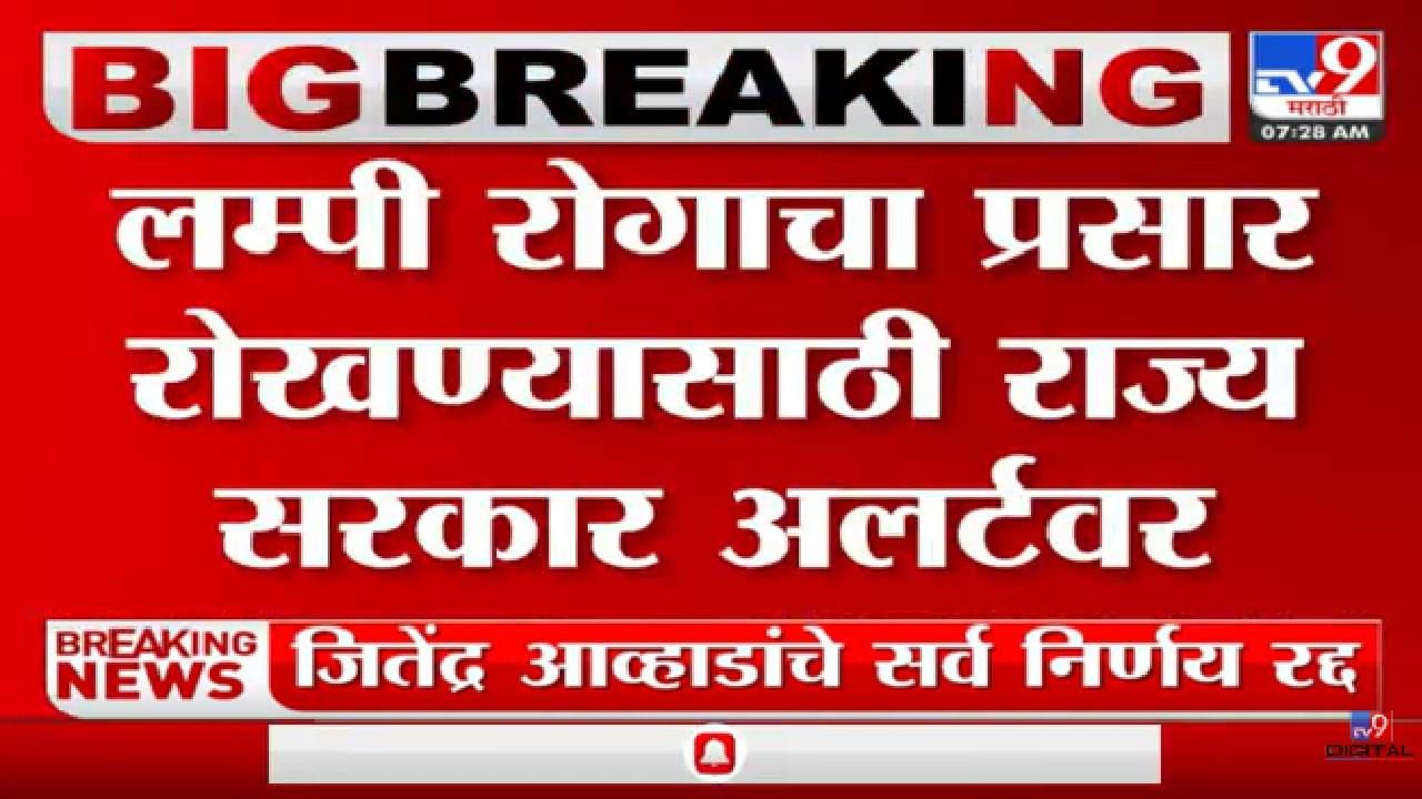 महत्वाची बातमी: लम्पीचा प्रसार रोखण्यासाठी राज्य सरकार अलर्ट, जनावरांच्या लसीकरणाबाबत मोठा निर्णय