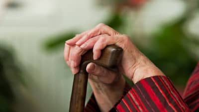 माझी आई जिवंत आहे ! आठ महिन्यांपासून मुलाच्या सरकारी कार्यालयात चकरा, काय आहे प्रकरण ?