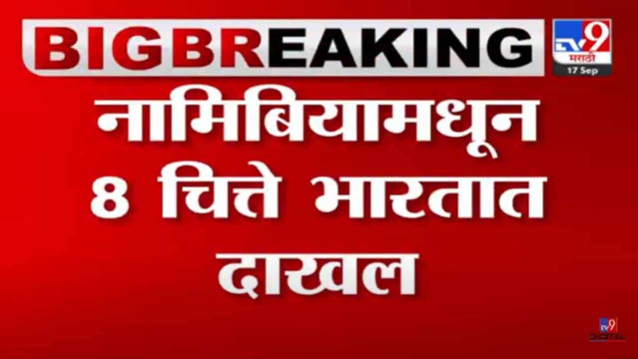 Namibia cheetah India : नामिबियामधून 8 चित्ते भारतात दाखल, चित्त्यांना घेऊन विमान ग्वाल्हेरमध्ये पोहोचलं!