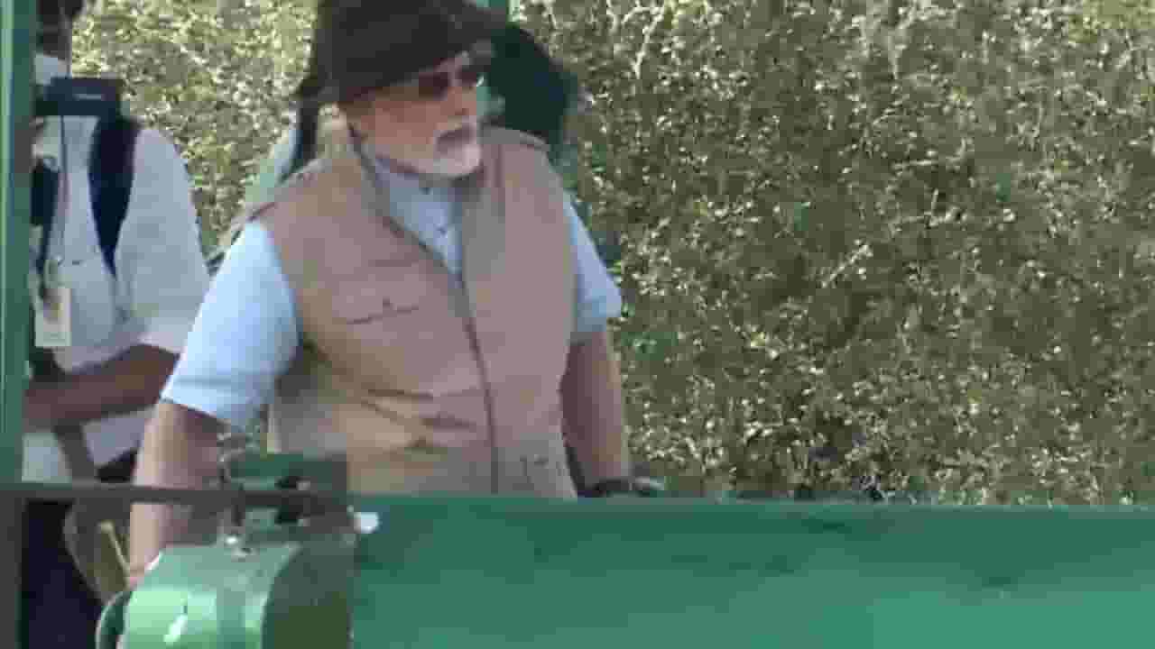 चित्ते की चाल आणि मोदींची फोटोग्राफी; कूनो पार्कमध्ये चित्ता राज!