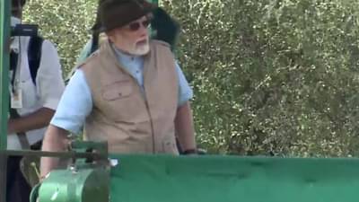 चित्ते की चाल आणि मोदींची फोटोग्राफी; कूनो पार्कमध्ये चित्ता राज!