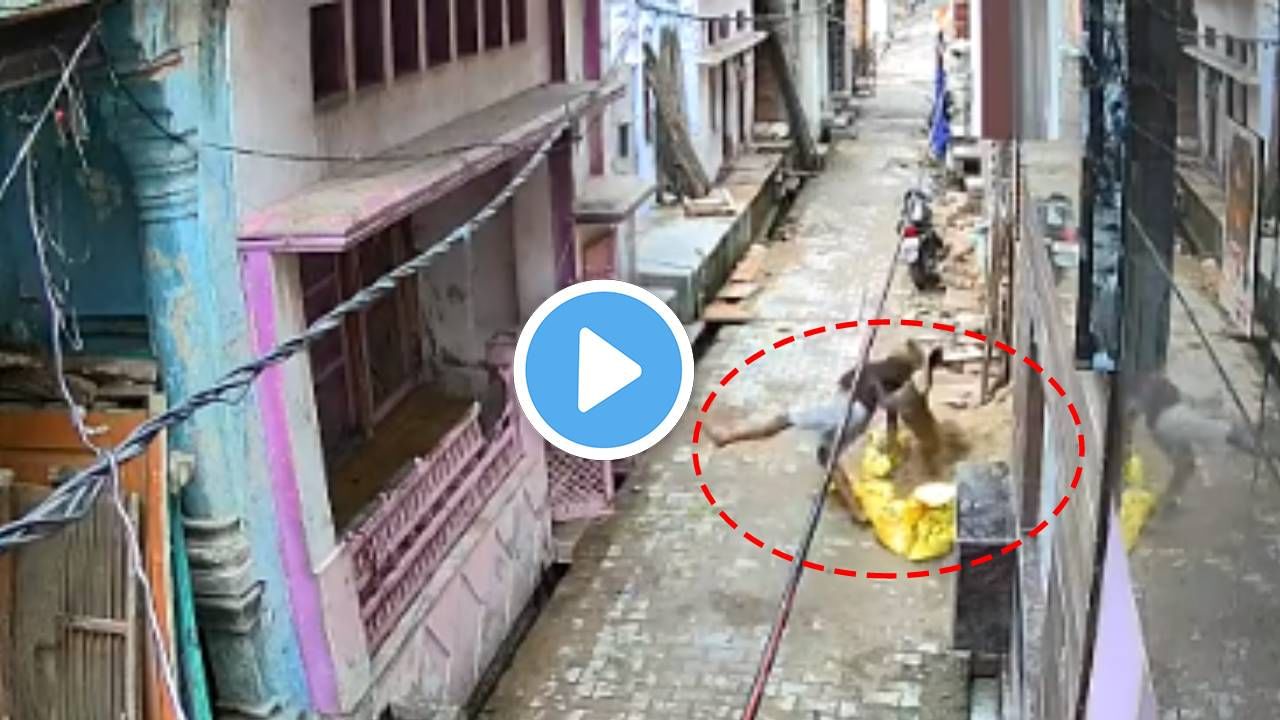 Viral CCTV: चिमुरडीला वाचवायला बाप गेला, पण माकडाने त्याच्यावर हल्ला केला, माकडांच्या दहशतीचा व्हायरल व्हिडीओ