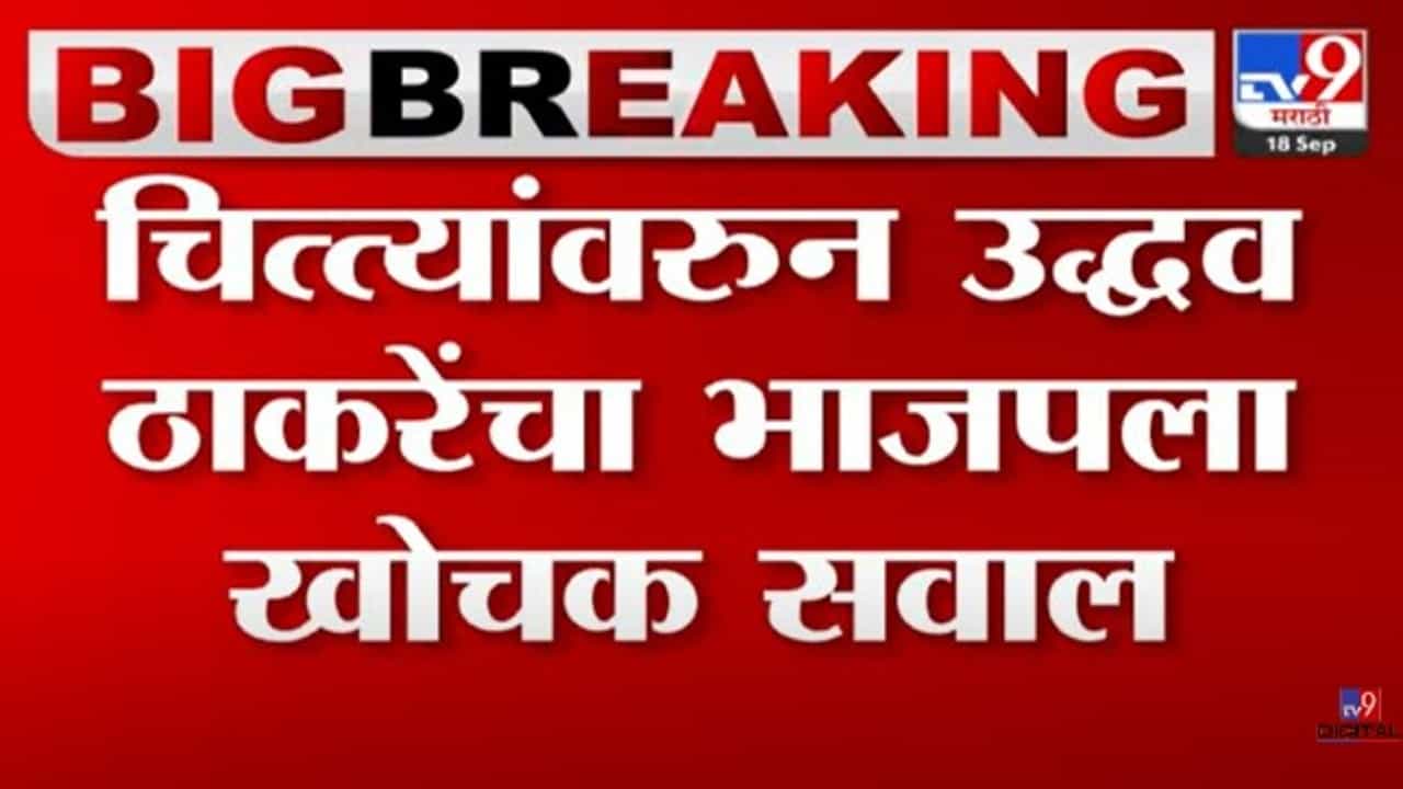 मग आता चिता सरकार म्हणायचं का? मोदींच्या 'त्या' दाव्यावर उद्धव ठाकरेंचा खोचक सवाल