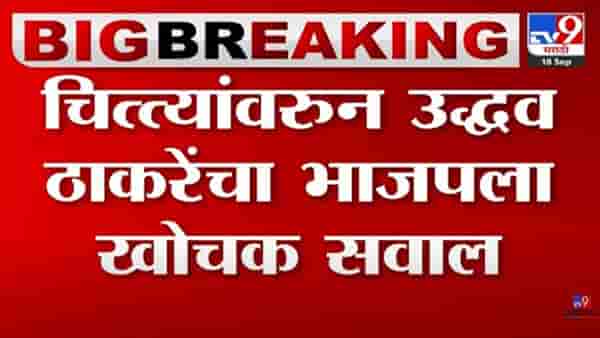 मग आता चिता सरकार म्हणायचं का? मोदींच्या ‘त्या’ दाव्यावर उद्धव ठाकरेंचा खोचक सवाल