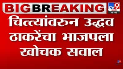 मग आता चिता सरकार म्हणायचं का? मोदींच्या ‘त्या’ दाव्यावर उद्धव ठाकरेंचा खोचक सवाल