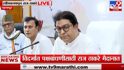 फेमस “नागपूरची संत्री” राज ठाकरेंना भेट म्हणून देणार, उत्साहाचं वातावरण!