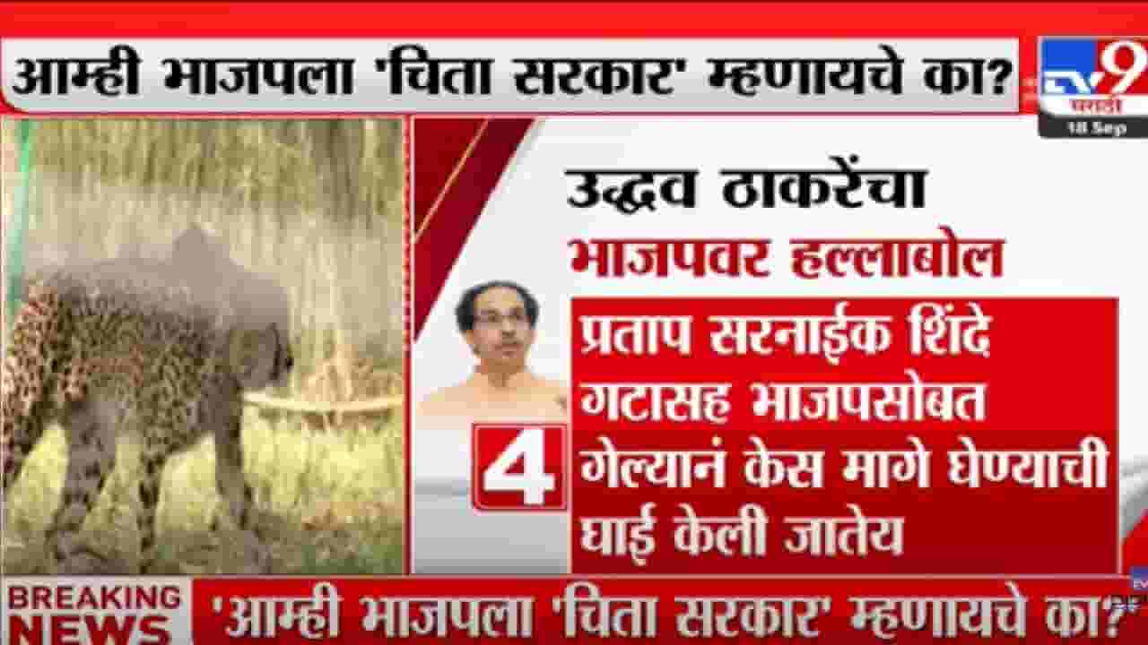 भाजपला 'चिता सरकार' म्हणायचं का?';ठाकरेंचा खोचक सवाल