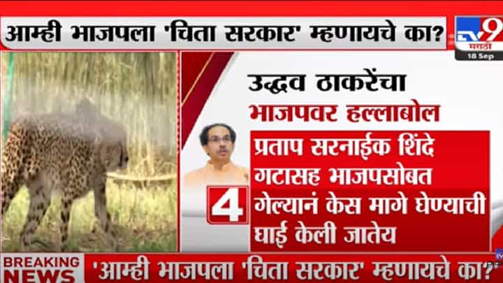 भाजपला 'चिता सरकार' म्हणायचं का?';ठाकरेंचा खोचक सवाल भाजपला 'चिता सरकार' म्हणायचं का?';ठाकरेंचा खोचक सवाल