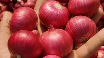 Cold Issue: सर्दी -खोकल्यावर करा देशी पद्धतीने उपचार, करा कांद्याचा वापर !