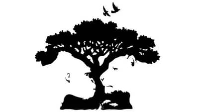 ऑप्टिकल इल्युजन! सांगा आधी काय दिसतंय, फोटोच सांगेल तुमचं व्यक्तिमत्त्व