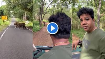 ‘मिशन विदर्भ’वर आलेल्या मनसे नेत्याचं मिशन टायगर फत्ते! बजरंग वाघाच्या दर्शनाने अविनाश जाधव भारावले