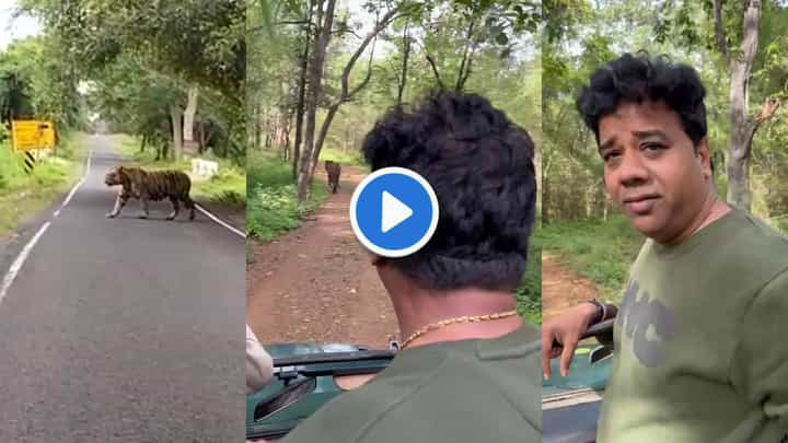'मिशन विदर्भ'वर आलेल्या मनसे नेत्याचं मिशन टायगर फत्ते! बजरंग वाघाच्या दर्शनाने अविनाश जाधव भारावले 'मिशन विदर्भ'वर आलेल्या मनसे नेत्याचं मिशन टायगर फत्ते! बजरंग वाघाच्या दर्शनाने अविनाश जाधव भारावले