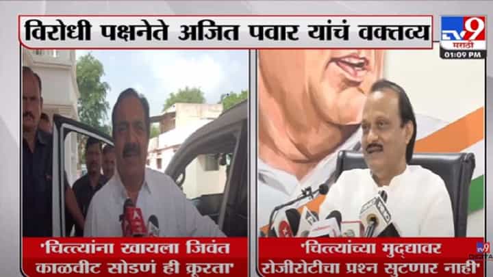 Video | चित्त्यांना खायला 'हे' देता? एवढी क्रूरता? राष्ट्रवादी काँग्रेसच्या नेत्यांची आगपाखड Video | चित्त्यांना खायला 'हे' देता? एवढी क्रूरता? राष्ट्रवादी काँग्रेसच्या नेत्यांची आगपाखड