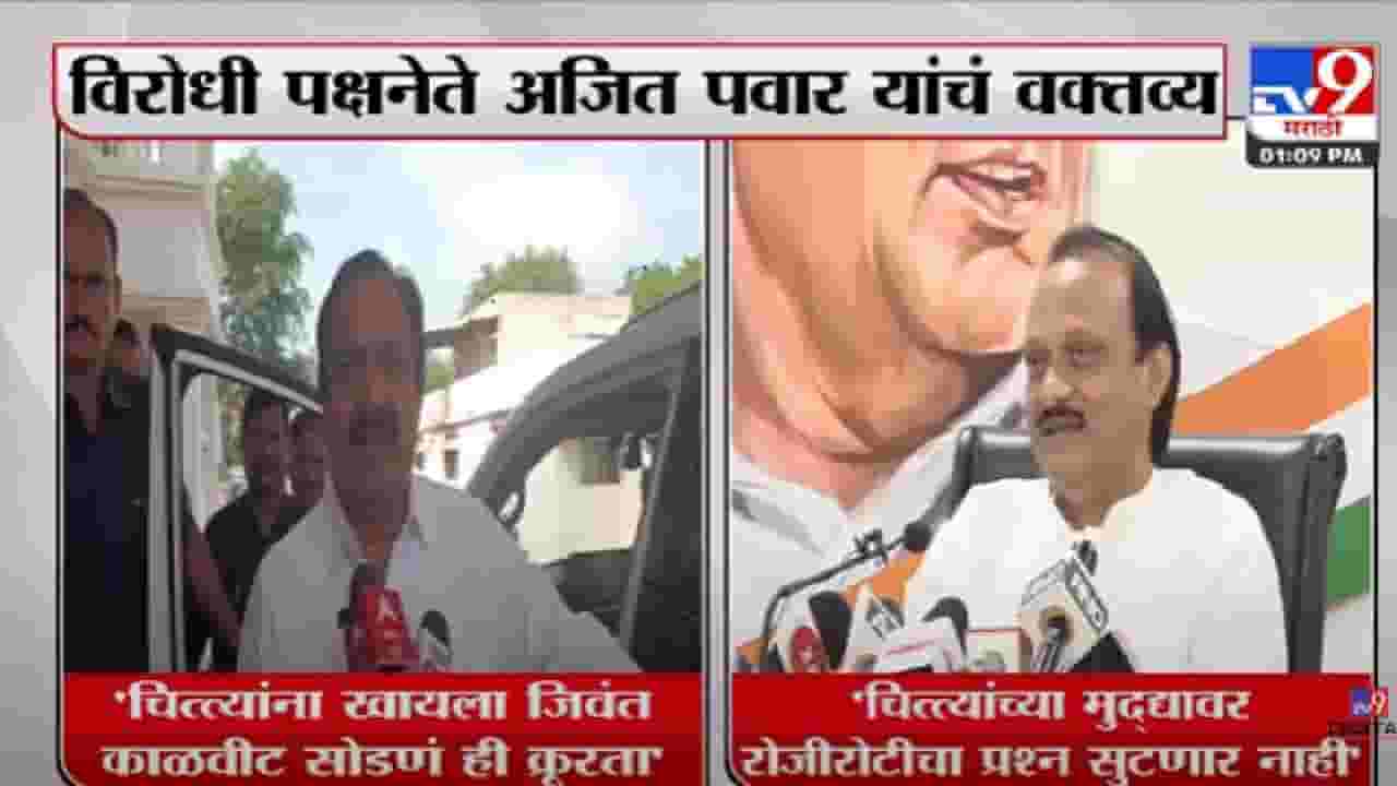 Video | चित्त्यांना खायला 'हे' देता? एवढी क्रूरता? राष्ट्रवादी काँग्रेसच्या नेत्यांची आगपाखड