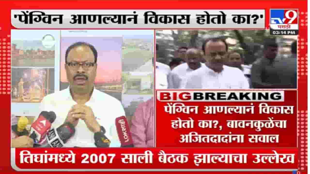 आता पेंग्विन विरुद्ध चित्ते वाद, अजित पवारांच्या वक्तव्यावर बावनकुळेंचा प्रश्न काय?