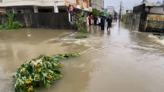 या अळीच्या काट्यात विषग्रंथी, डंख मारताच विषारी रसायने सोडते त्वचेत नि मग…