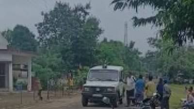 वाघाच्या भीतीने लोकं दहशतीत, जंगलात शेतकऱ्याचा पाडला फडशा