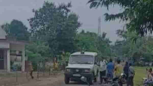 वाघाच्या भीतीने लोकं दहशतीत, जंगलात शेतकऱ्याचा पाडला फडशा