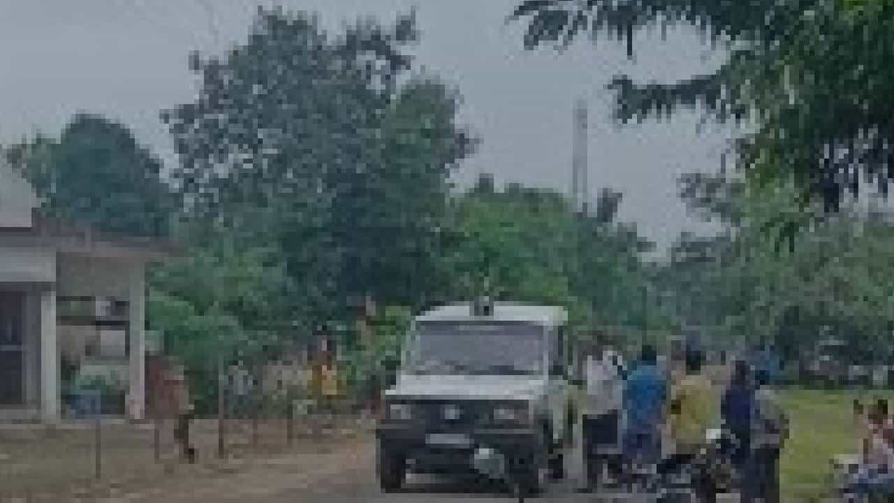 वाघाच्या भीतीने लोकं दहशतीत, जंगलात शेतकऱ्याचा पाडला फडशा