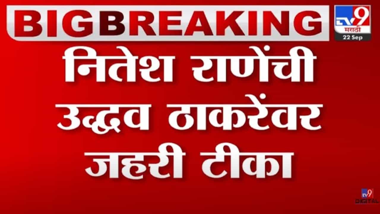 'यांना कानाखाली नाही मारायची मग काय पुजा करायची ?'; उद्धव ठाकरेंच्या 'त्या' वक्तव्यावर नितेश राणे आक्रमक