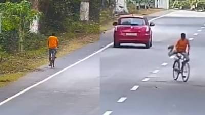 बाबो, हायवे ने प्रवास करणं अवघड! IFS अधिकाऱ्याने शेअर केला व्हिडीओ, व्हायरल