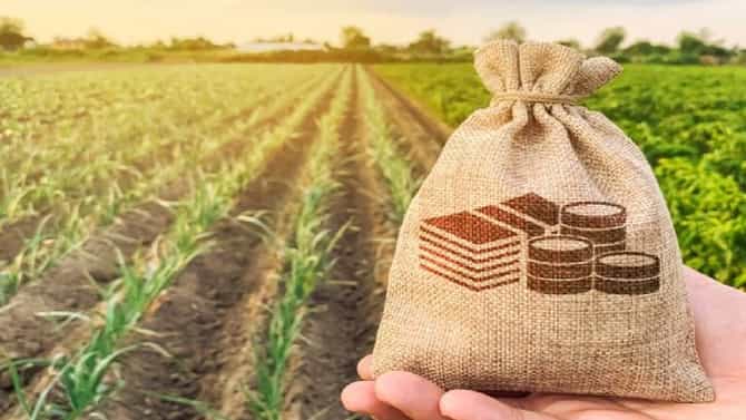 Farmer : सरकारचा एक निर्णय अन् शेतकरी चिंतामुक्त, शेत जमीन खरेदी-विक्रीमध्ये अमूलाग्र बदल
