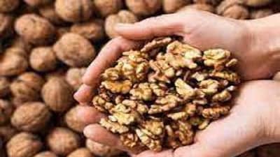 Walnut Benefits: मेंदू आणि हृदयाचा सुपरफूड म्हणजे अक्रोड, खाये तो जाने!