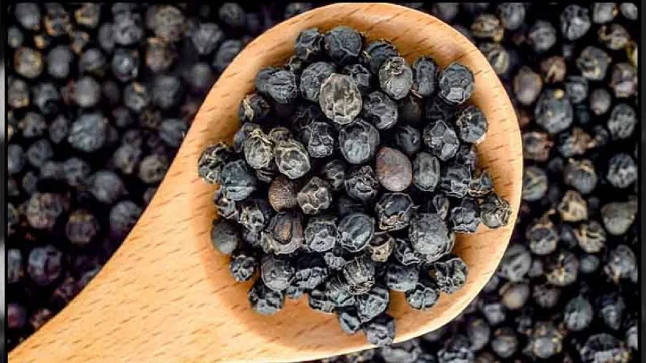 Black pepper: धूम्रपानाचे व्यसन सोडवायचेय? मग काळी मिरी ट्राय कराच