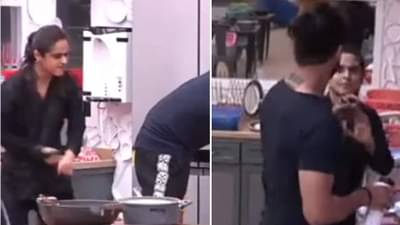 Bigg Boss: जेव्हा मधुरिमाने फ्राय पॅन तुटेपर्यंत विशालला मारलं; बिग बॉसमधला तो थरारक Video